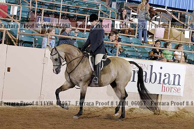 Proof 11yn_06057