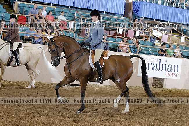 Proof 11yn_06060