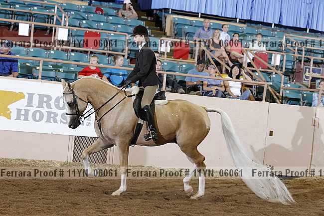 Proof 11yn_06061