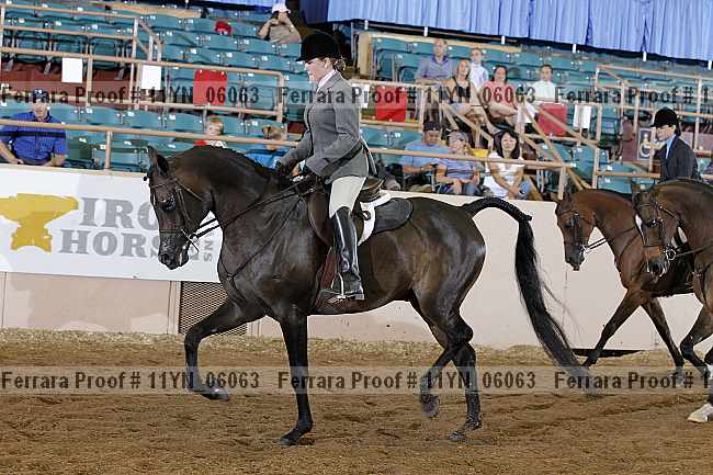 Proof 11yn_06063