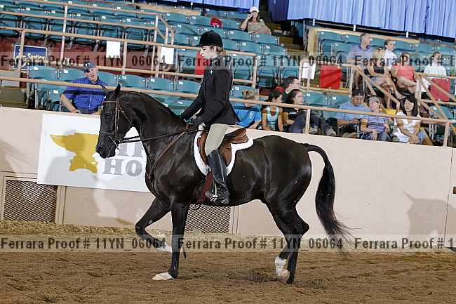 Proof 11yn_06064