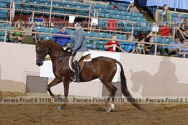 Proof 11yn_06065