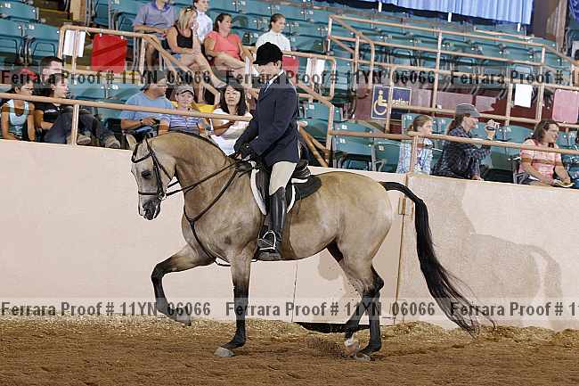 Proof 11yn_06066