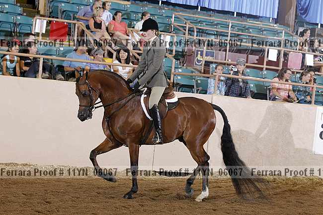 Proof 11yn_06067