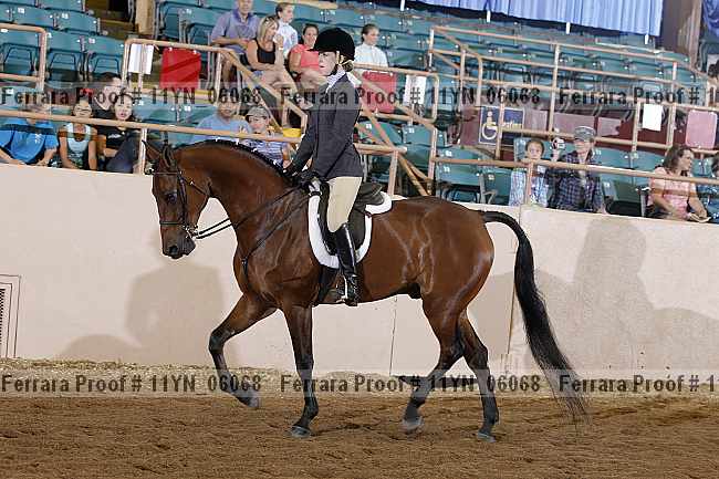 Proof 11yn_06068