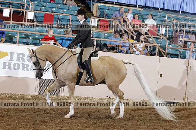 Proof 11yn_06069