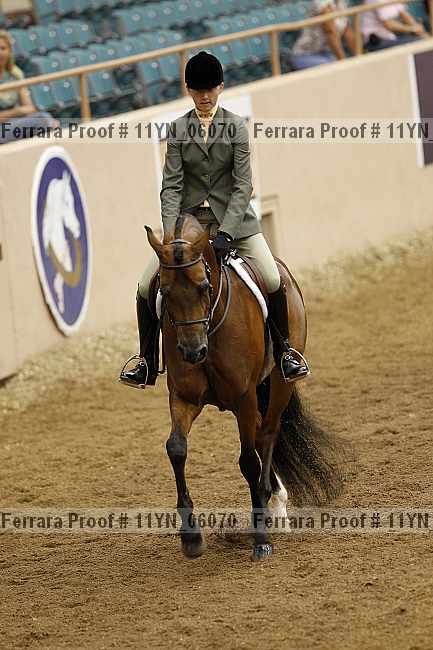 Proof 11yn_06070