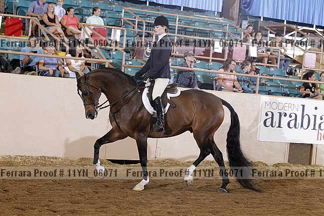 Proof 11yn_06071