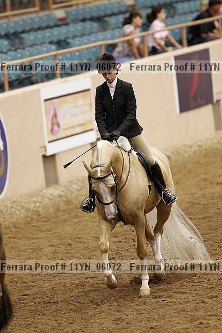 Proof 11yn_06072