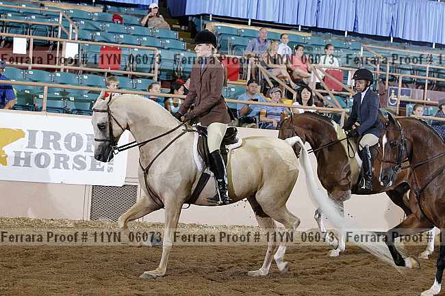 Proof 11yn_06073
