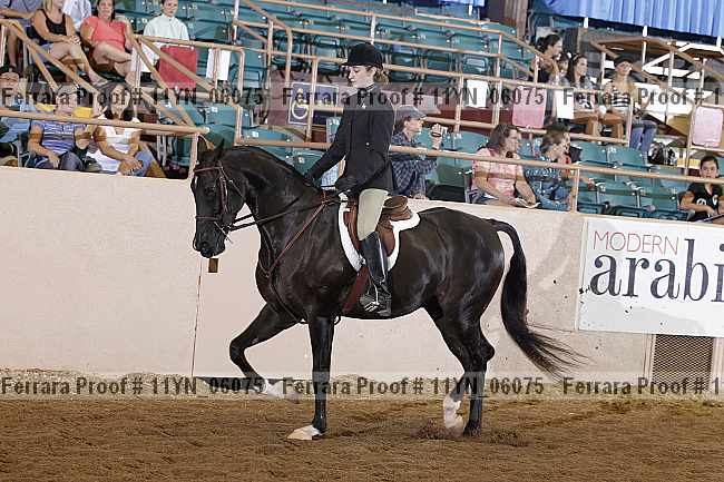 Proof 11yn_06075
