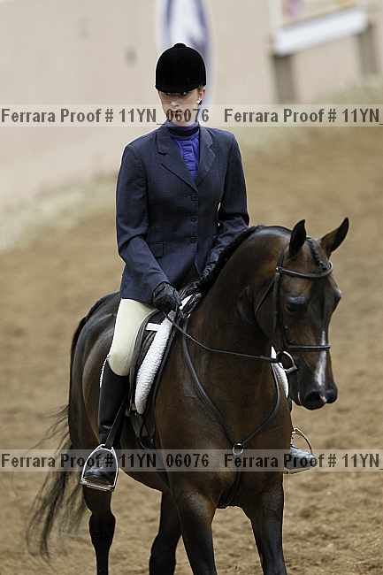 Proof 11yn_06076