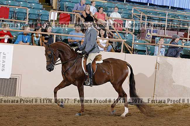 Proof 11yn_06077