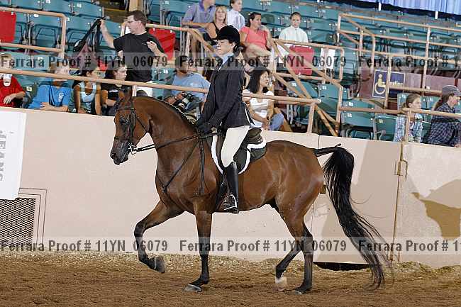 Proof 11yn_06079
