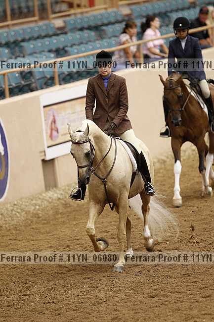 Proof 11yn_06080