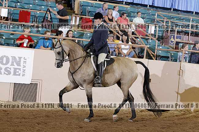Proof 11yn_06081