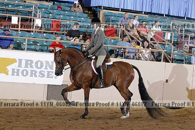 Proof 11yn_06082