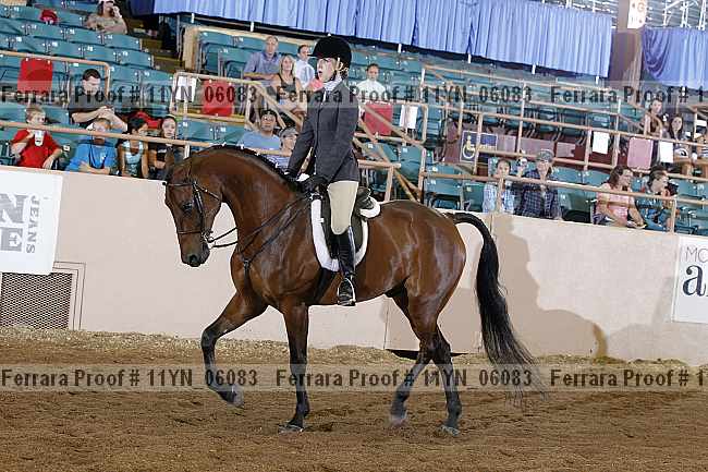 Proof 11yn_06083