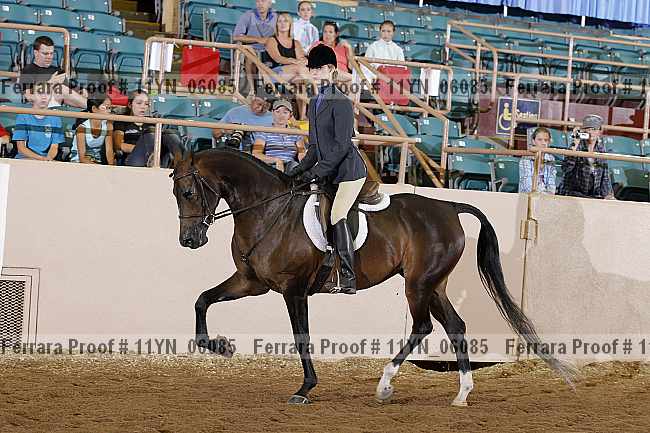Proof 11yn_06085