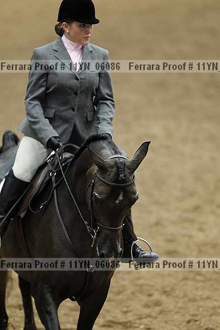 Proof 11yn_06086