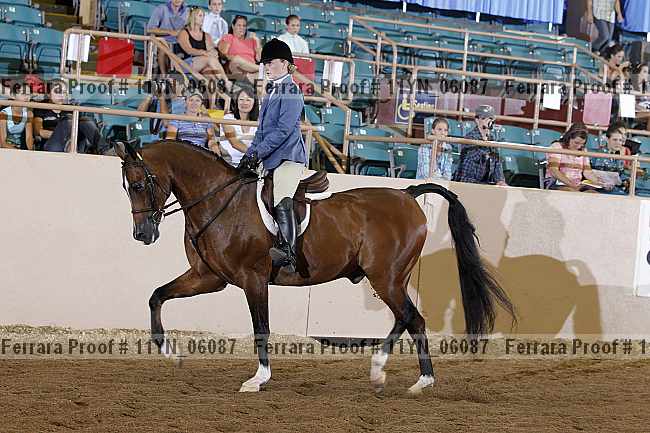 Proof 11yn_06087