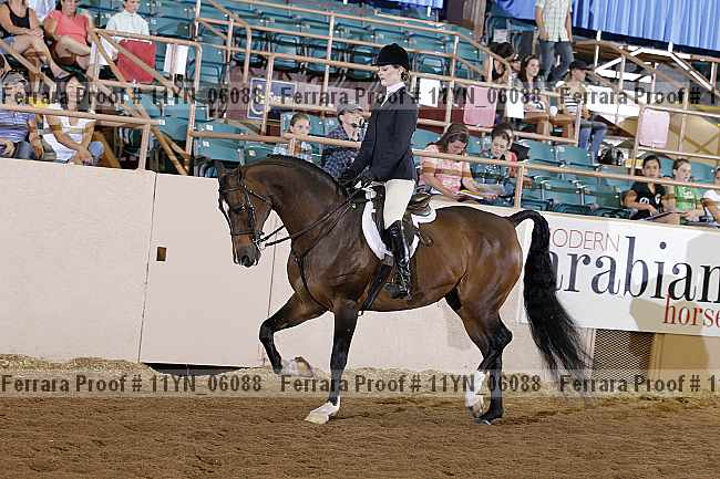Proof 11yn_06088