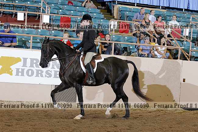 Proof 11yn_06090