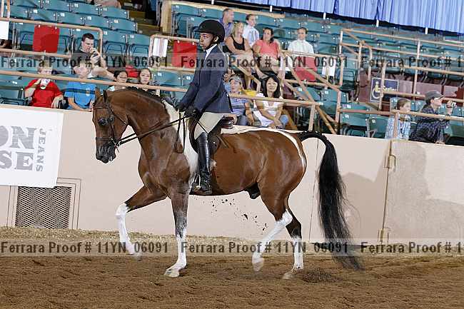 Proof 11yn_06091