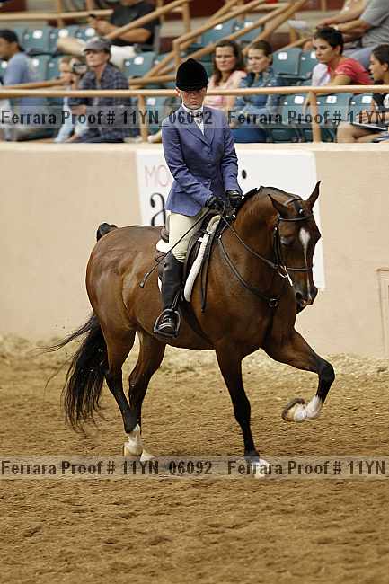 Proof 11yn_06092