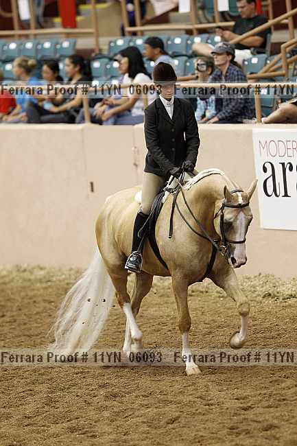 Proof 11yn_06093