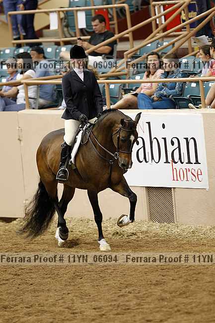 Proof 11yn_06094