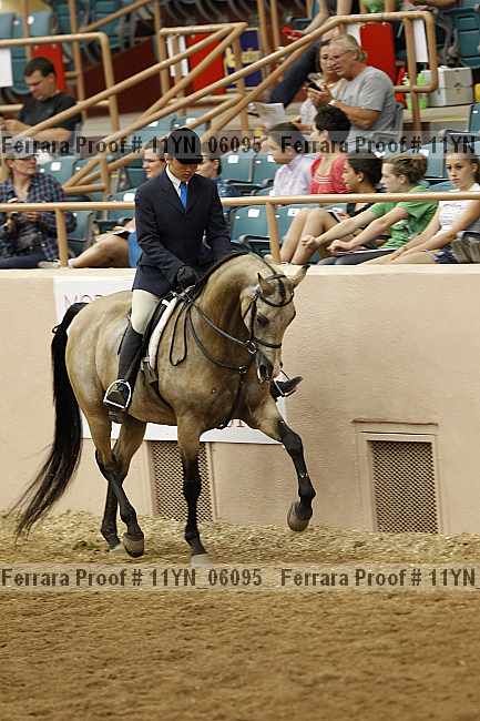 Proof 11yn_06095