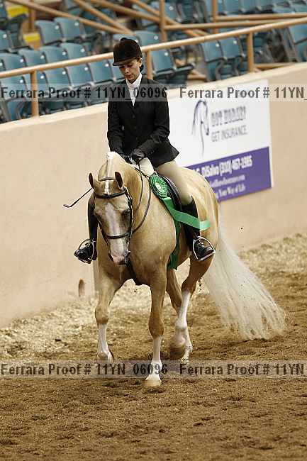 Proof 11yn_06096