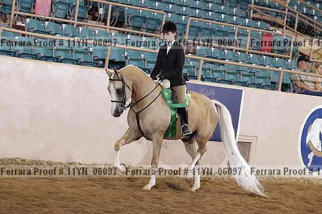 Proof 11yn_06097