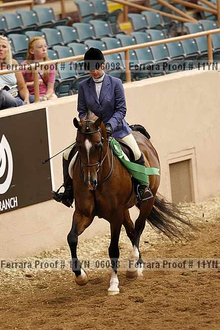 Proof 11yn_06098