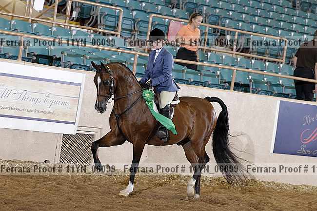 Proof 11yn_06099