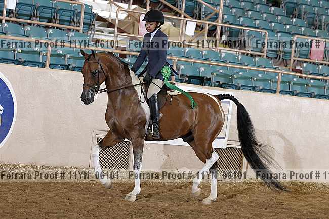 Proof 11yn_06101