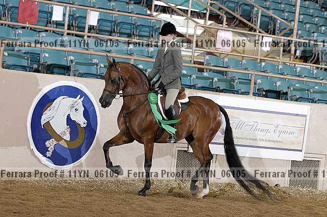 Proof 11yn_06105