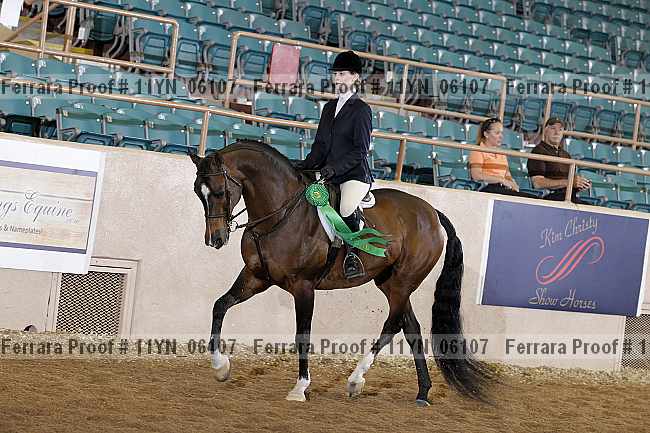 Proof 11yn_06107