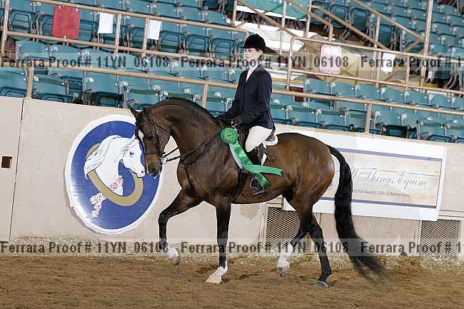 Proof 11yn_06108