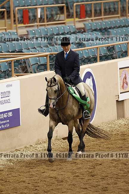 Proof 11yn_06109