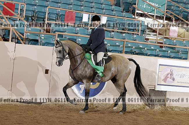 Proof 11yn_06111
