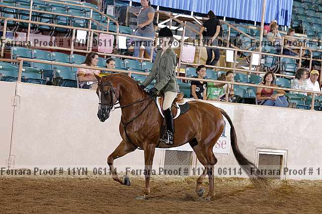 Proof 11yn_06114