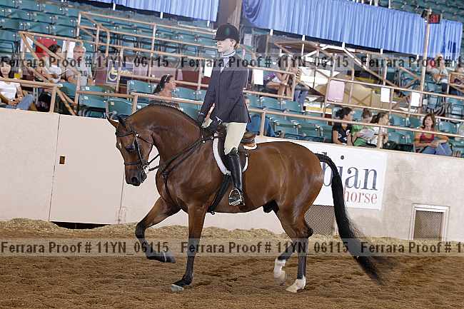 Proof 11yn_06115