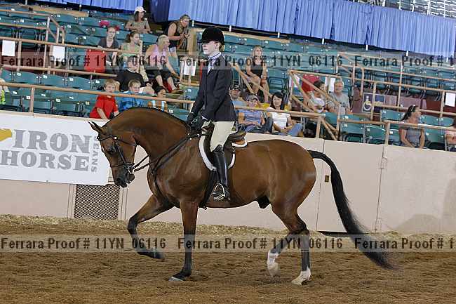 Proof 11yn_06116