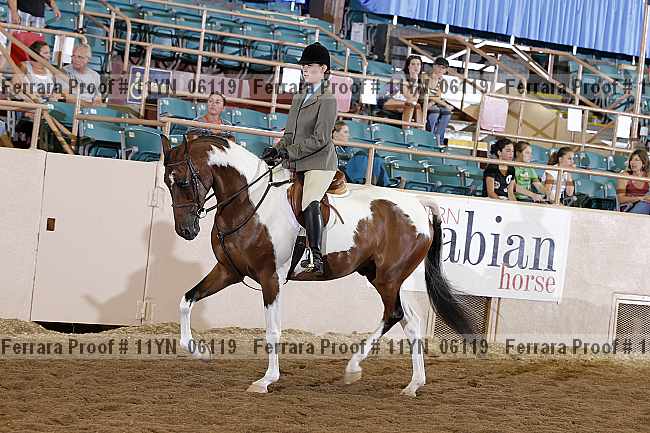 Proof 11yn_06119