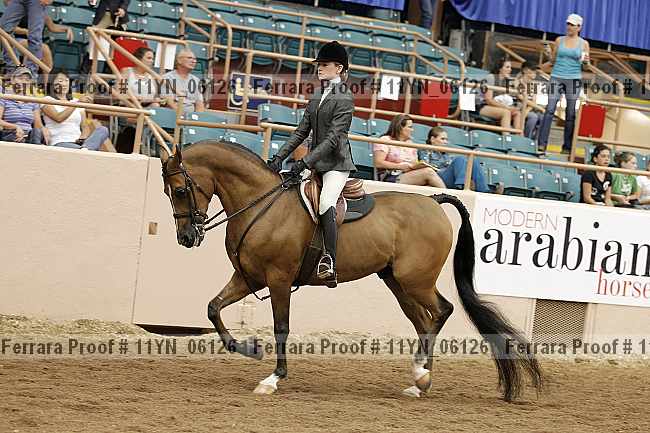 Proof 11yn_06126