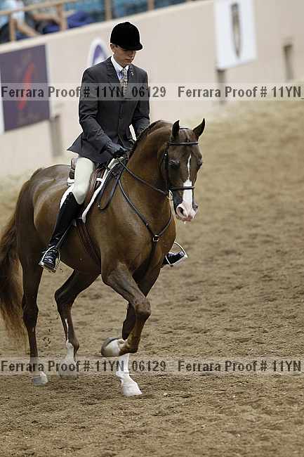 Proof 11yn_06129