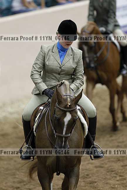 Proof 11yn_06146