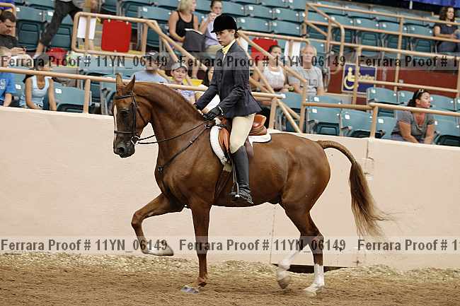 Proof 11yn_06149